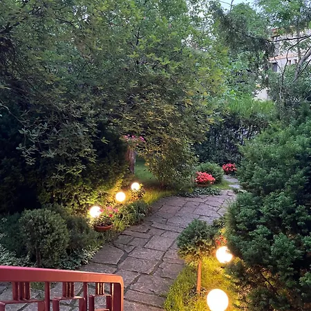 Elena אפורי נורד